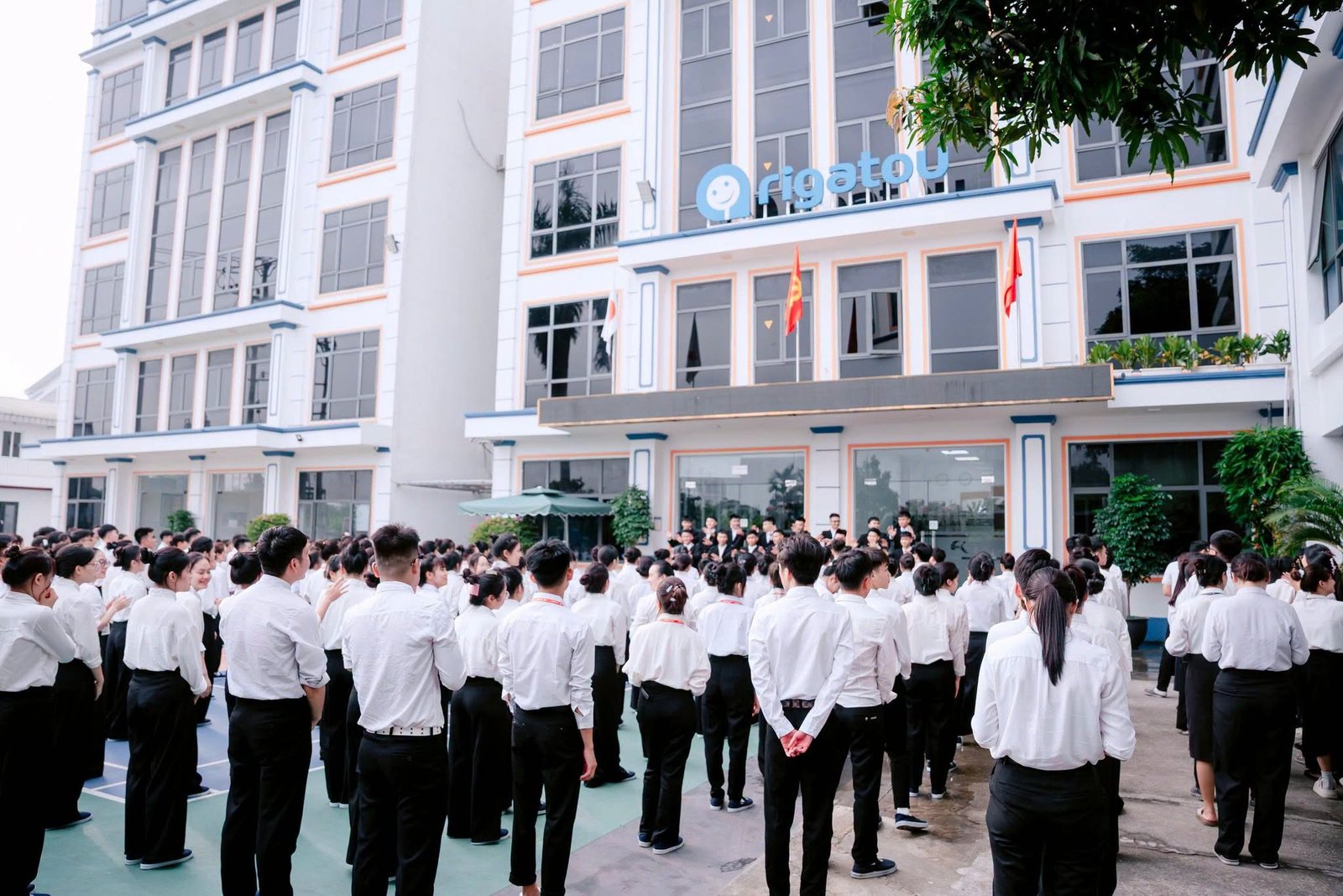 Những bước chuẩn bị cùng tập thể